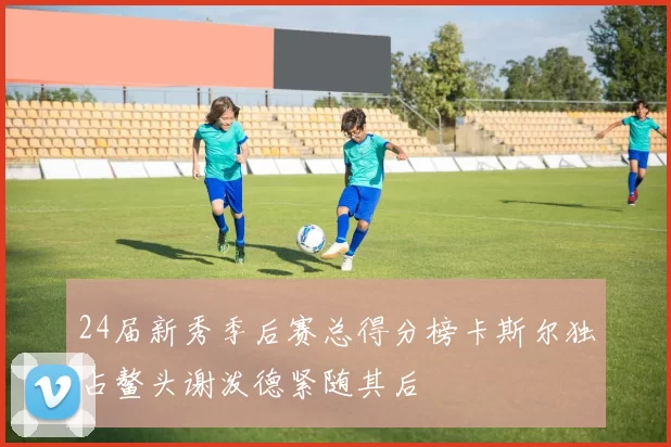 24届新秀季后赛总得分榜卡斯尔独占鳌头谢泼德紧随其后